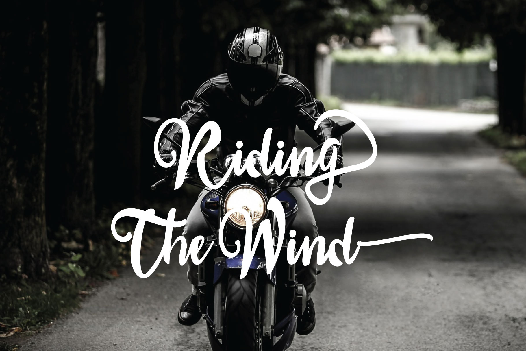 sail tortuga Font插图2