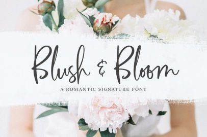 Blush & Bloom Signature Type素材之家精选英文字体