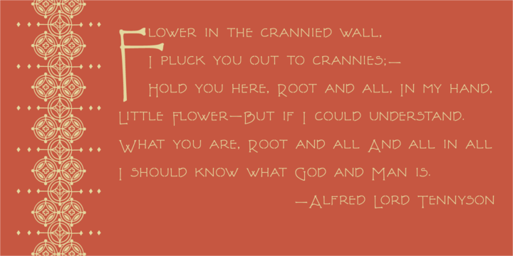 P22 FLW Terracotta Font Family插图1