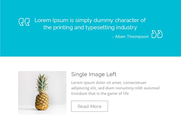 响应式EDM促销邮件模板v2 Simplicity Responsive Email Template | Version 2插图(7)