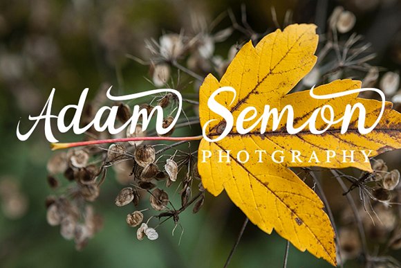 Noorlita Beautiful Calligraphy Font插图3