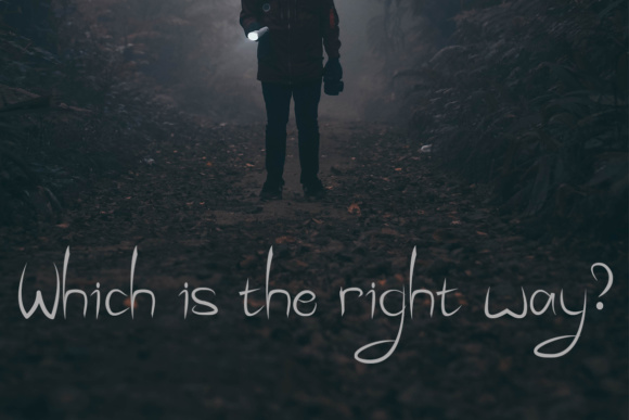 The Incisive Font插图2