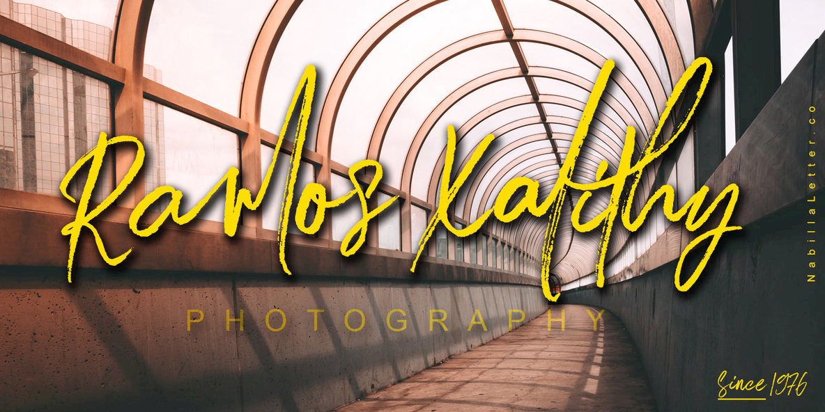 Smatter Brush Font插图2