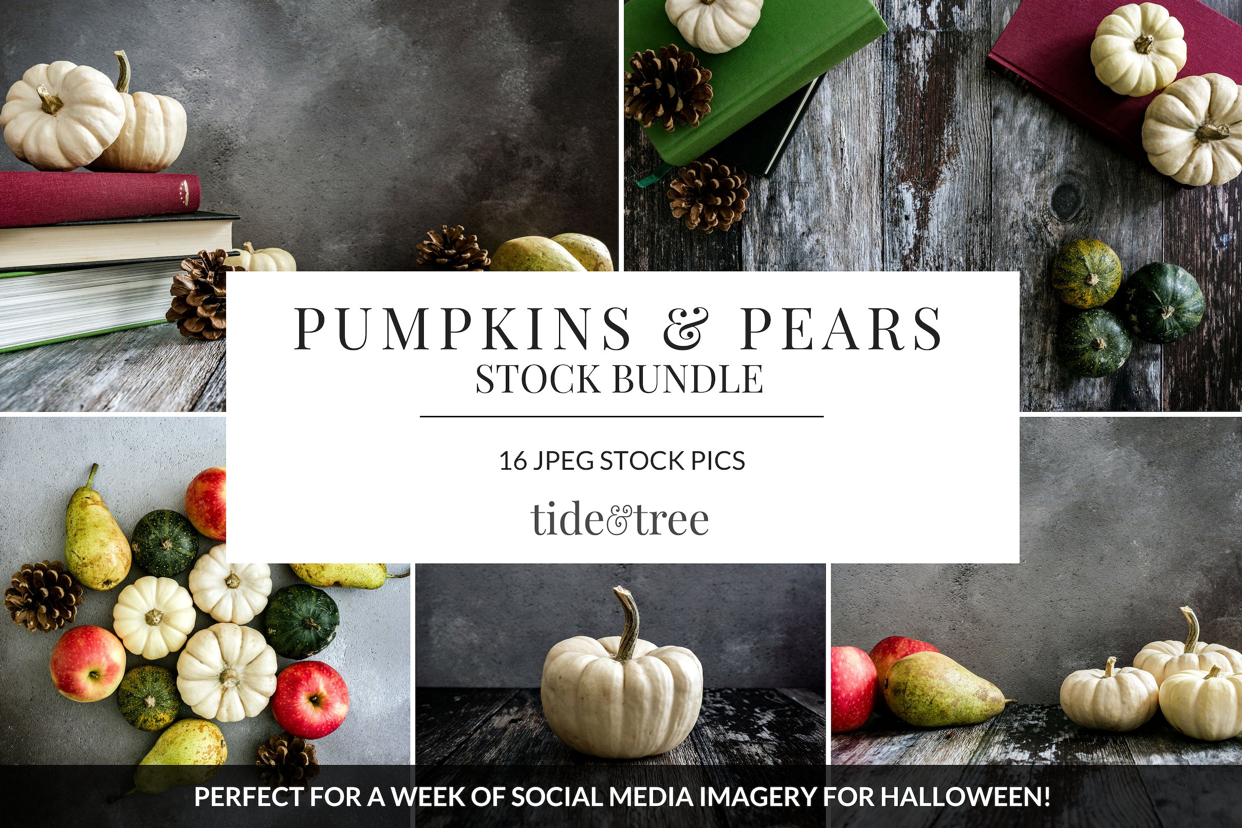 南瓜&梨子主题的社交媒体分享高清图片下载 Pumpkins & Pears [jpg]插图