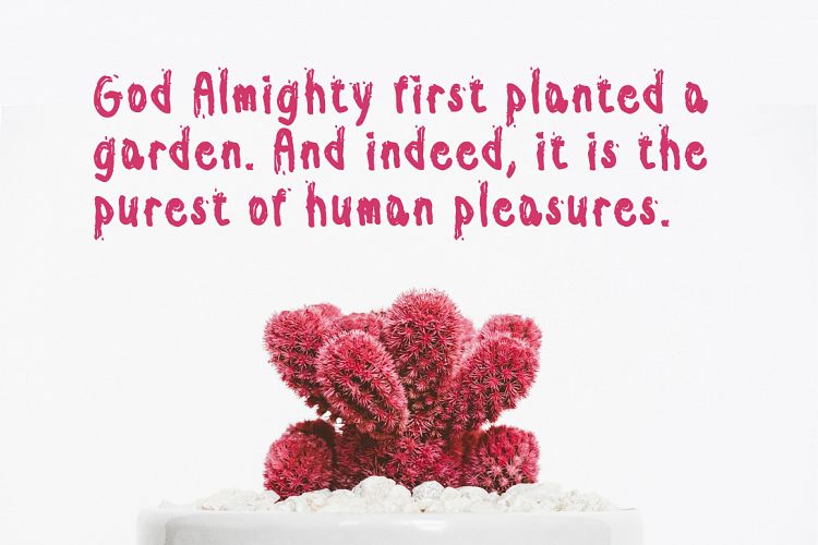 Bordure Regular Font插图1