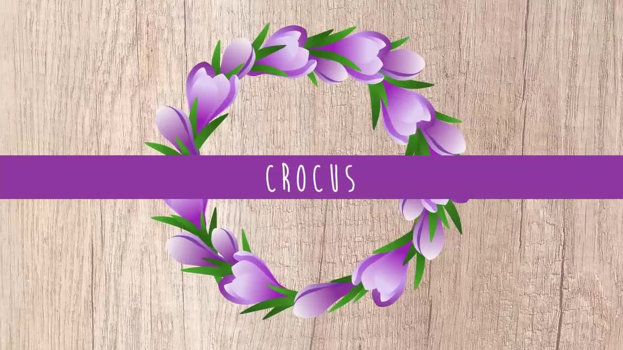 5个独特的花框素材库精选AE模板