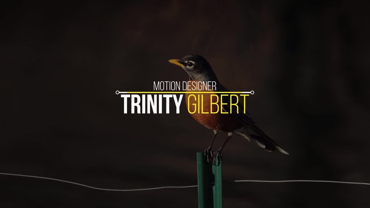 12个优雅的下三分之一标题动画素材库精选AE模板