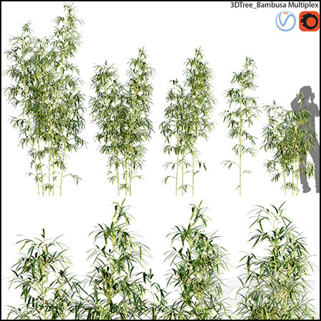 树篱竹篱竹子素材之家精选3D模型