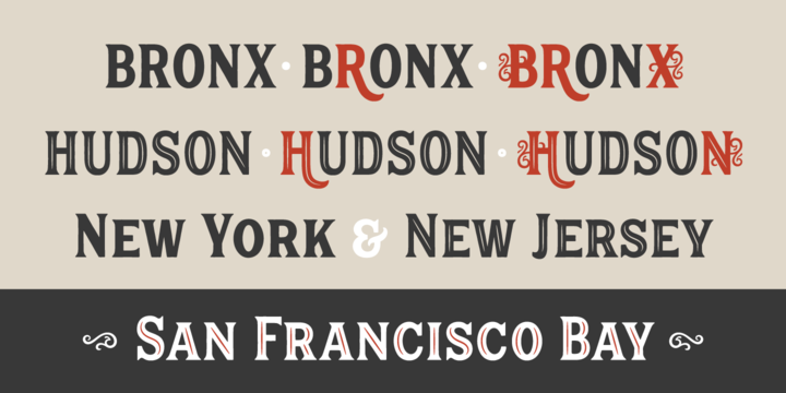 Hanley Pro Font Family插图2