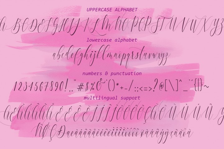 Charlotte Calligraphy插图3