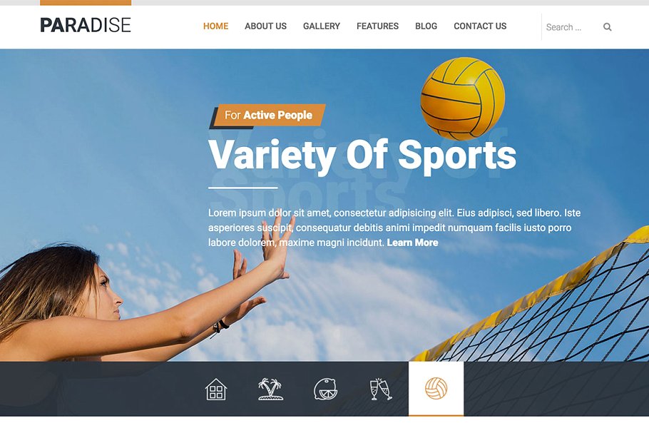 热带海岛旅游天堂旅游主题Joomla主题模板素材库精选 Hot Paradise插图(8)