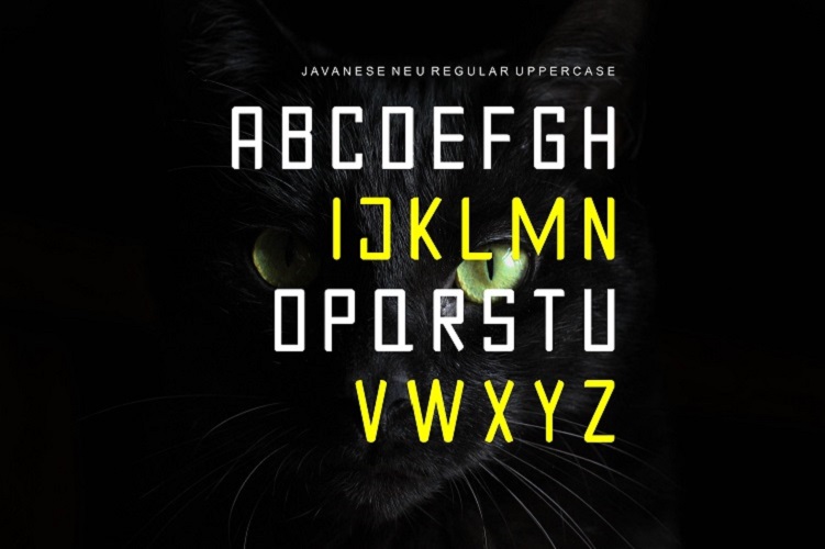JAVANESE NEURegular Font插图1