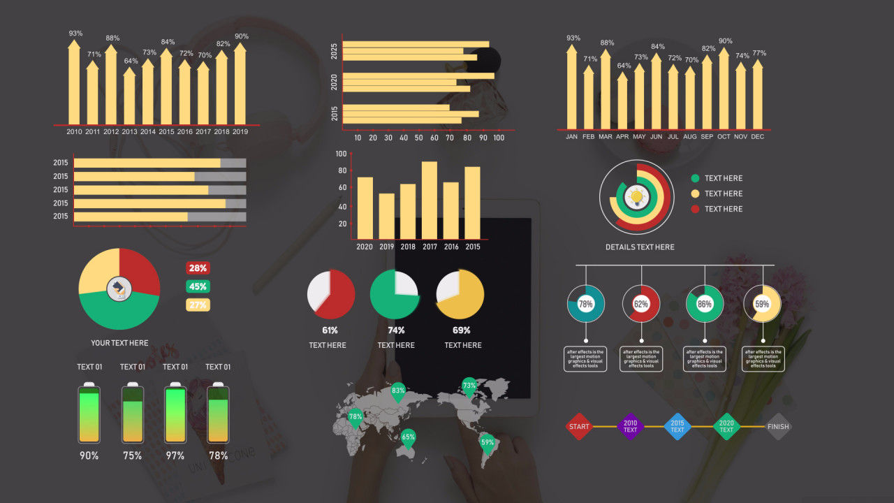 12个独特造性动画信息图表素材库精选AE模板