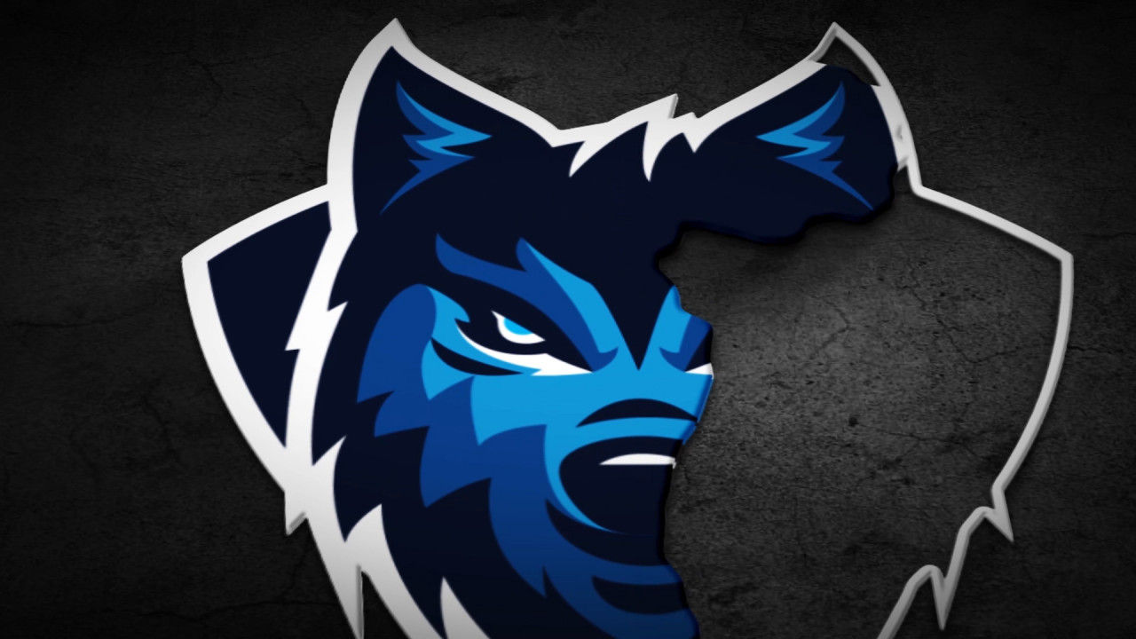 创造性动画的徽标显示素材库精选AE模板