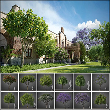 40个亚热带树木高品质3DMAX模型