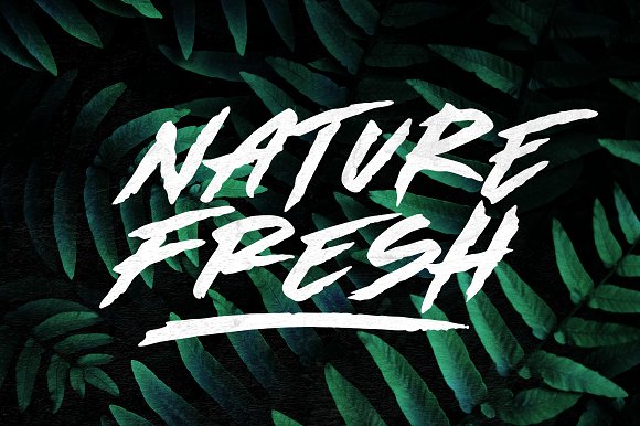 Made by Bears – Font 50% Discount!插图1