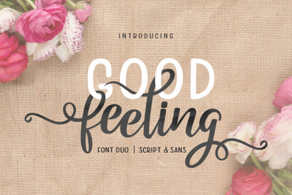 Good Feeling Duo Font素材之家精选英文字体