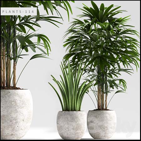 棕竹绿色植物组合素材之家精选3D模型