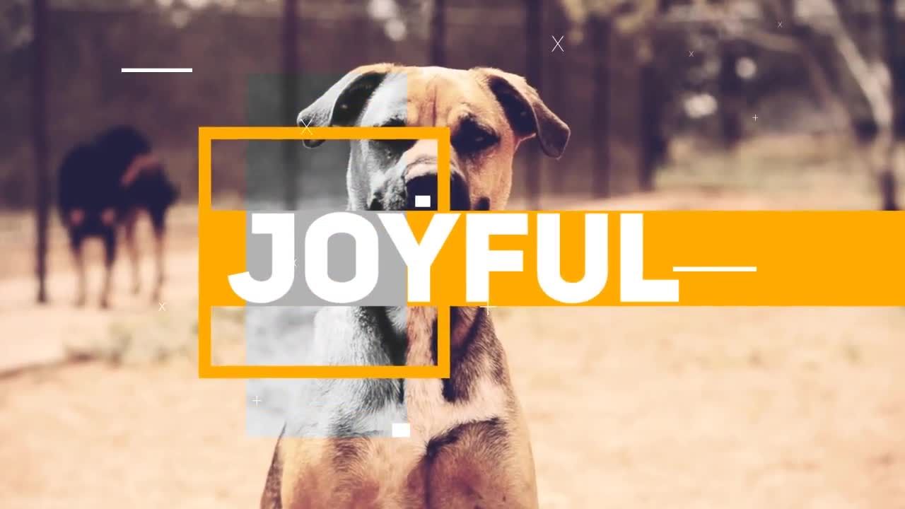 时尚活力新颖的动作幻灯片素材库精选AE模板