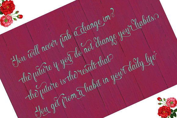 Angelisa Font插图2