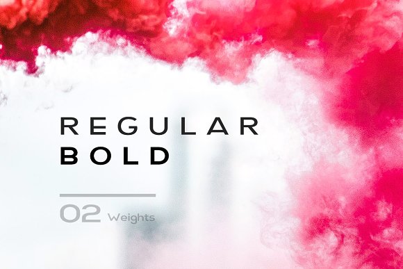 CreativeMarket SIEGNER – Modern Typeface + WebFont插图2