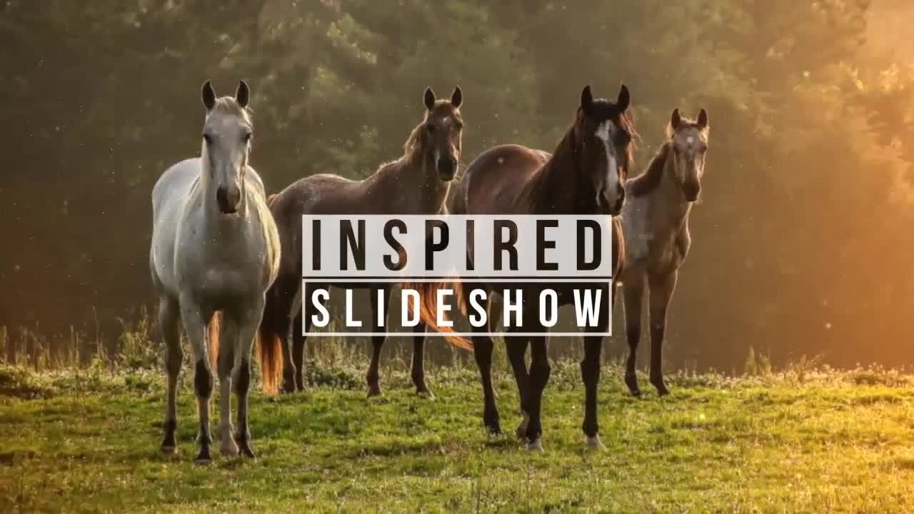 创意灵感AE幻灯片动画模板