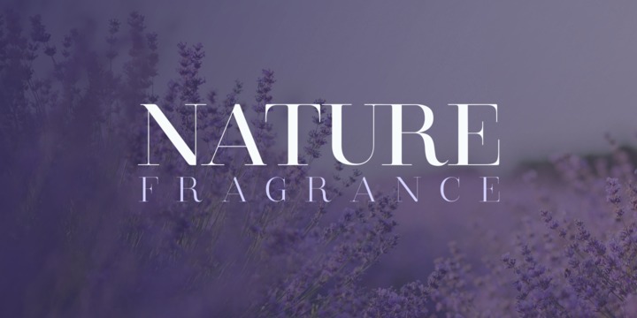 Clarize Font Family素材之家精选英文字体