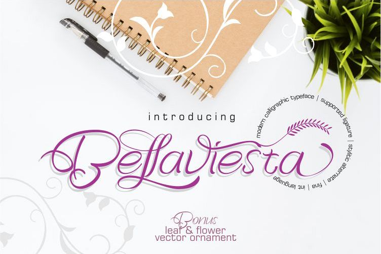 Bellaviesta Other Font插图