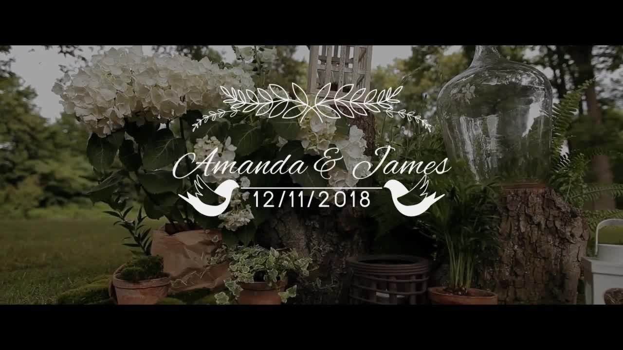 15个下三分之一婚礼动画标题素材库精选AE模板