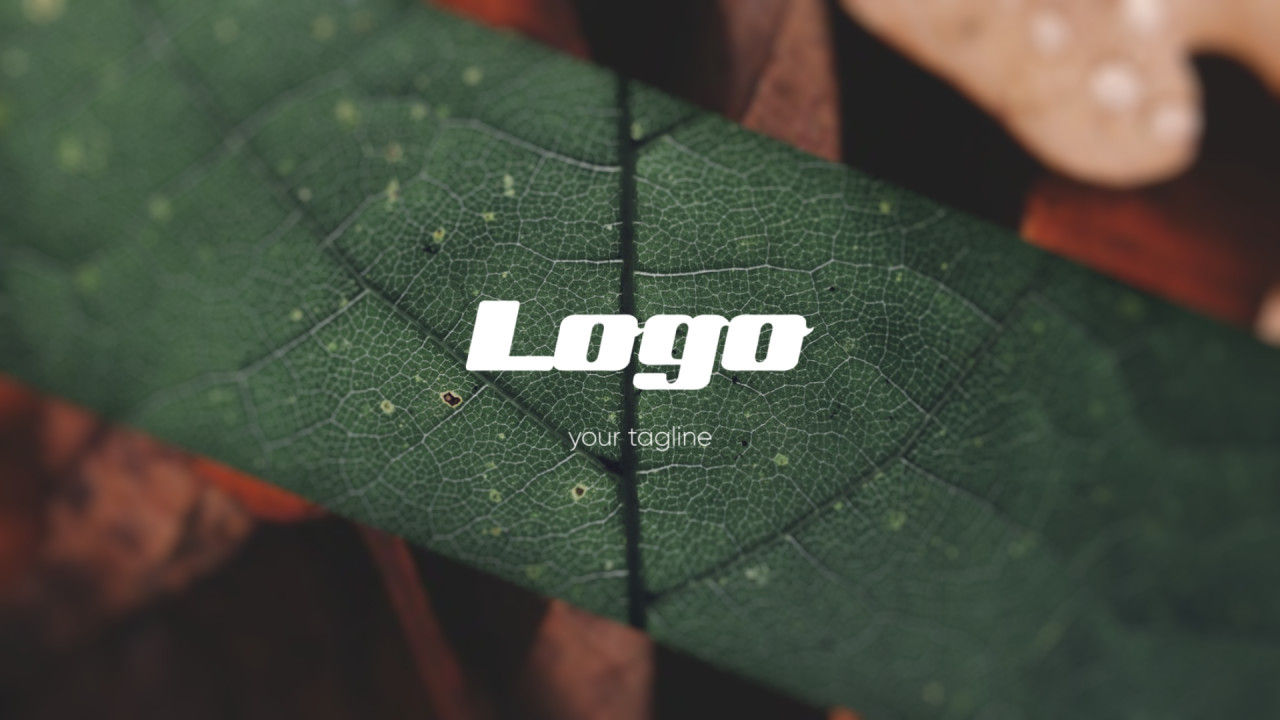 多图分割特效logo展示素材库精选AE模板