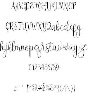 Anteater font插图1