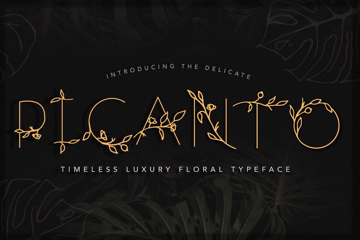PICANTO – FLORAL FONTRegular Font插图