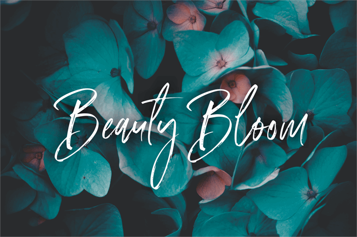 Amourist font插图3