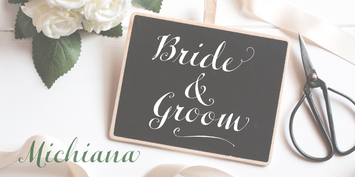 Michiana Pro Font插图1