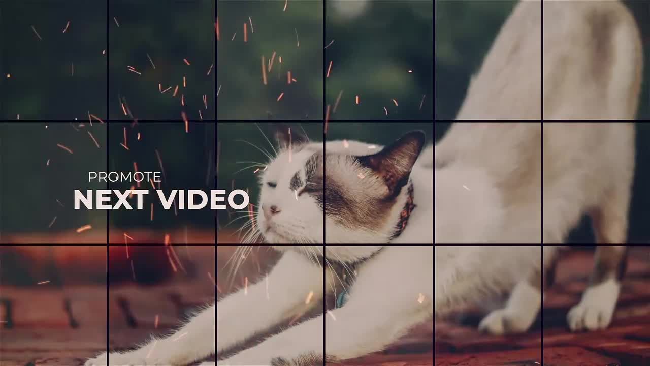 超现代的电视节目马赛克文本动画素材库精选AE模板