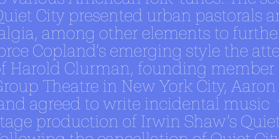 Shandon Slab Font Family插图2