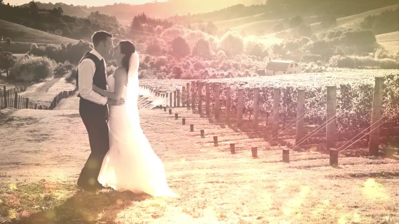 婚礼或周年纪念素材库精选AE模板