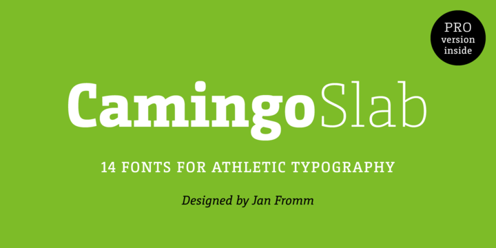 CamingoMono Font Family插图