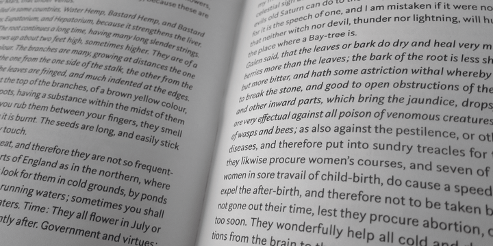 Rubiesque Font Family插图2