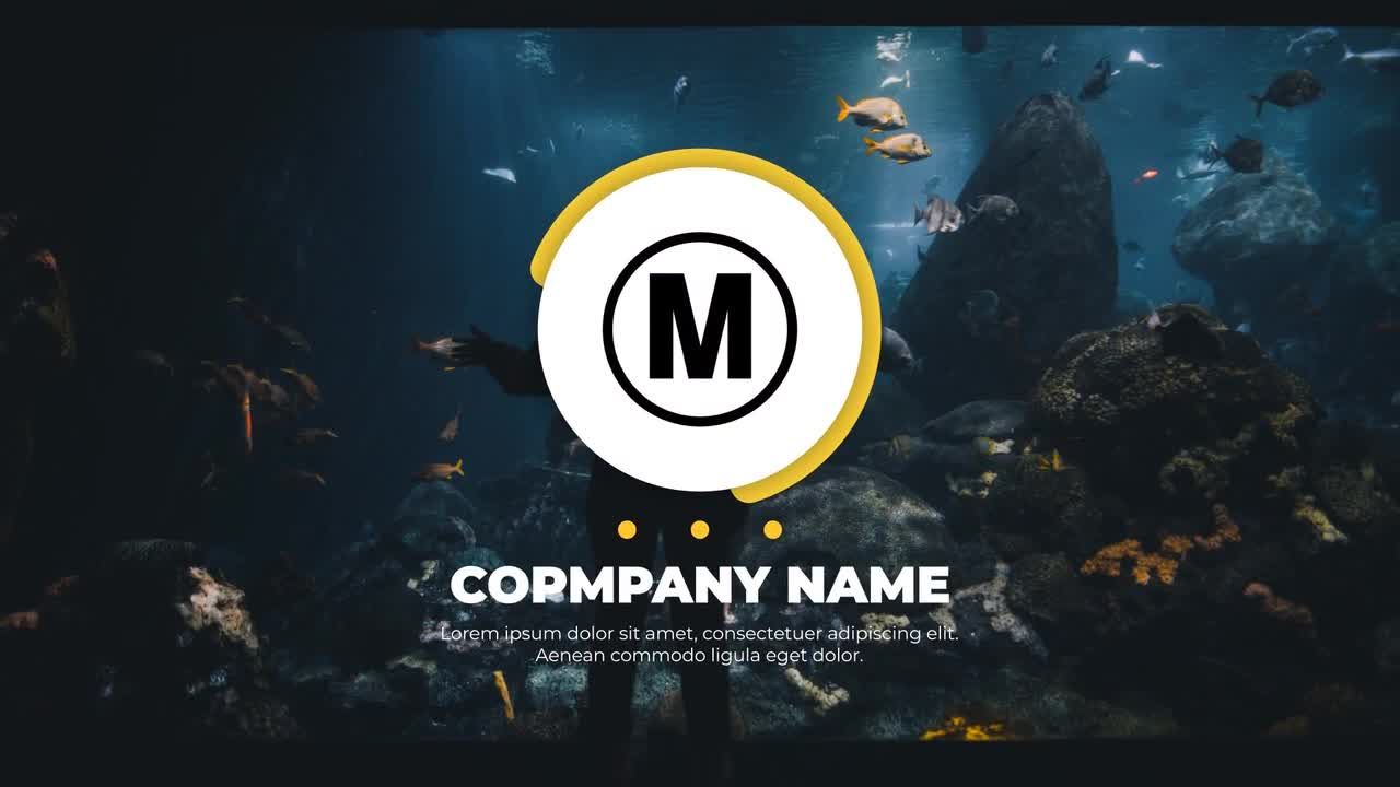 扁平圆形形状logo特效素材库精选AE模板