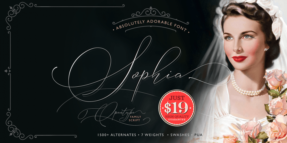 Sophia Font Family插图