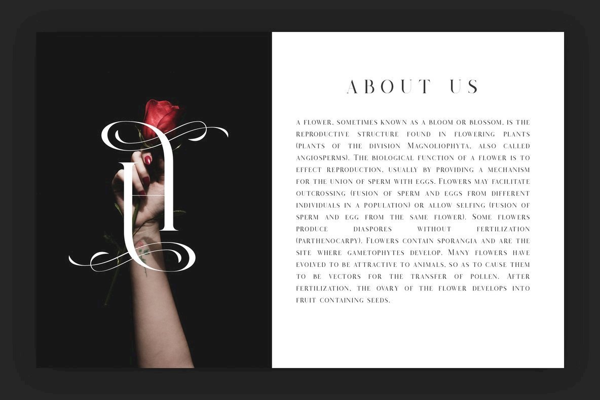 Salvalyn Font插图1