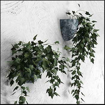 墙上壁挂花盆绿色植物常春藤素材之家精选3D模型