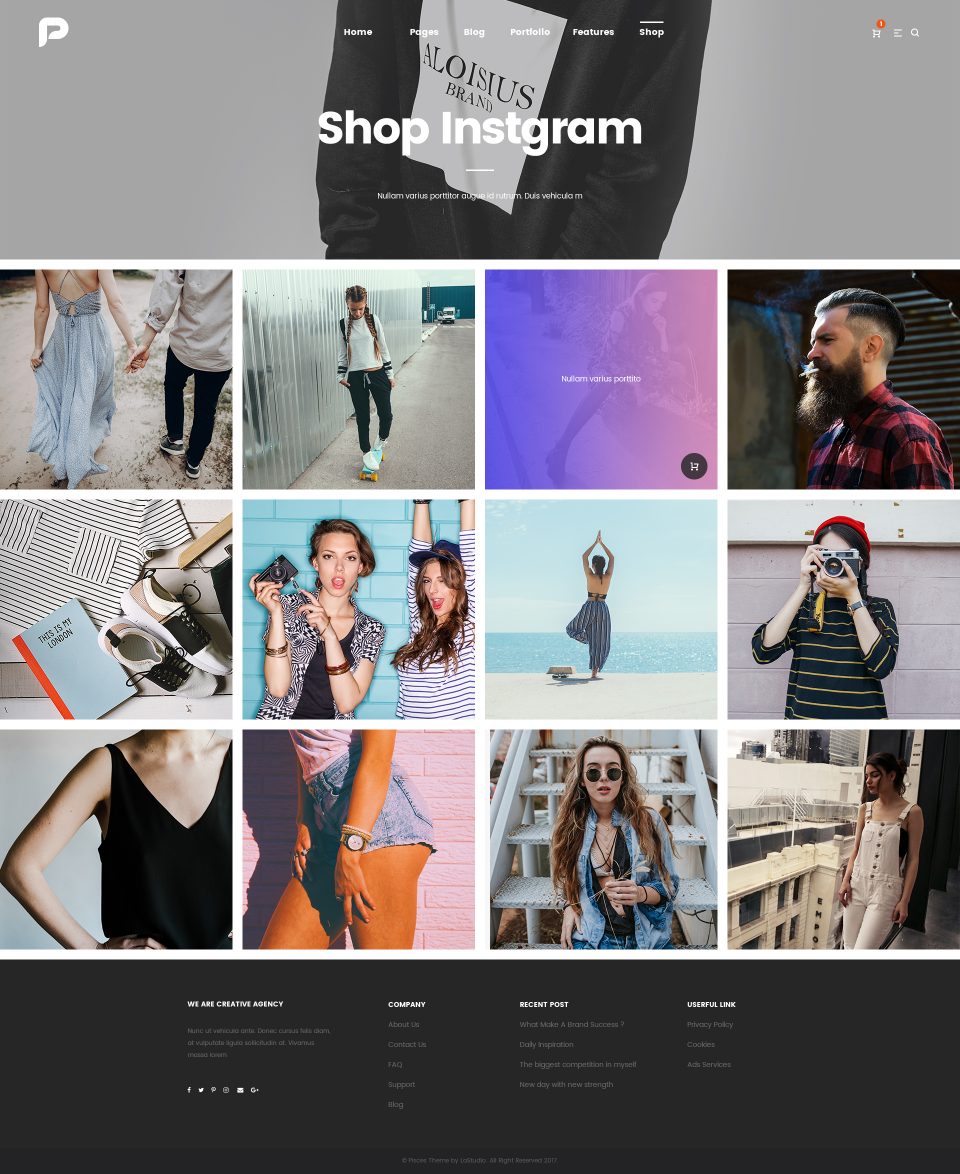 高质量网站全套 PSD 模板素材库精选 Pisces-Multi Concept PSD Template插图(19)