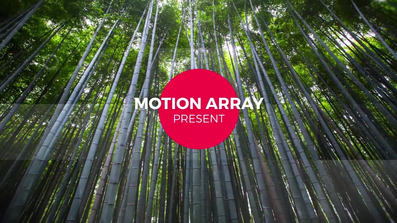 位移幻灯片文本动画照片素材库精选AE模板