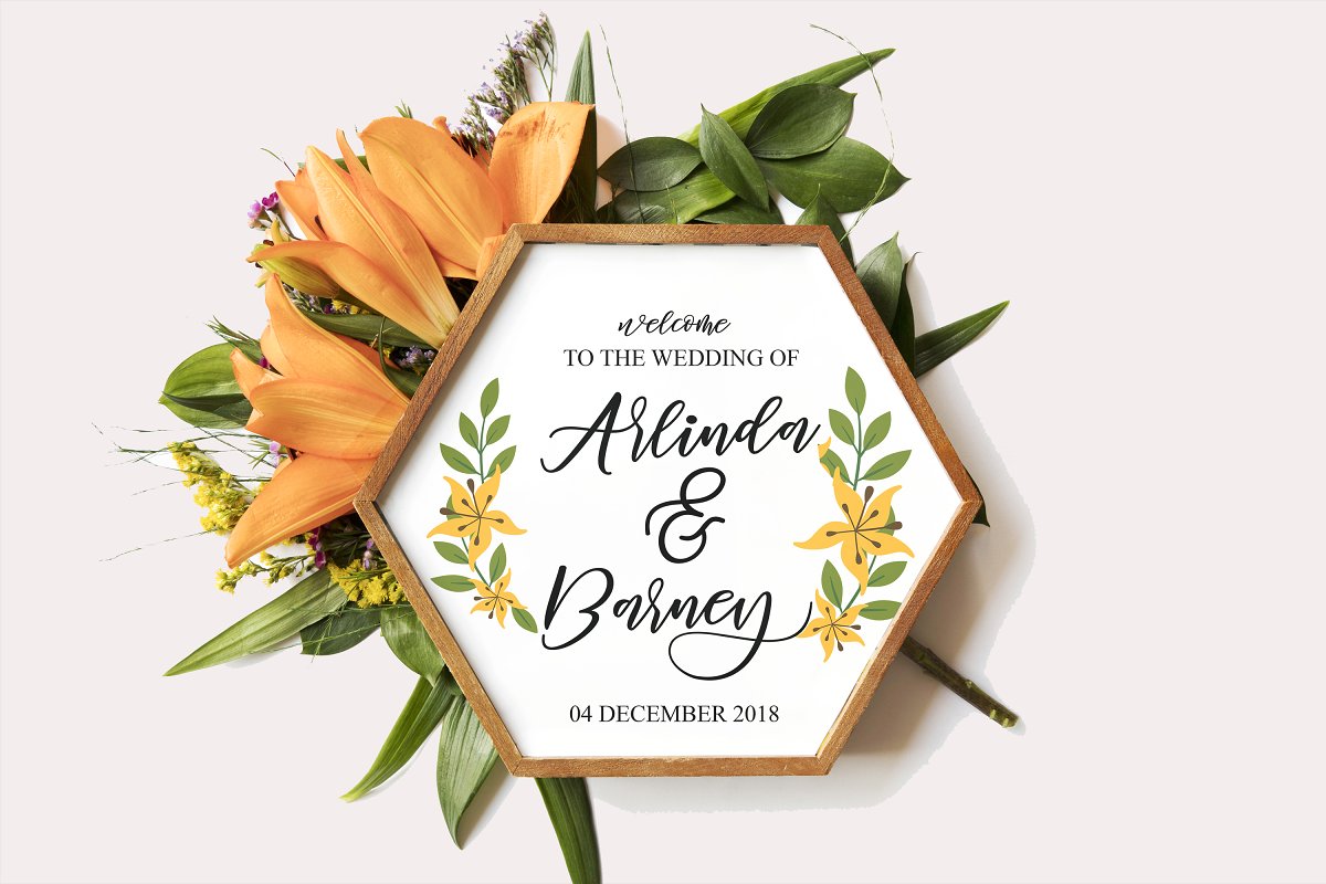 Diary Amily Font插图2