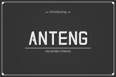 Anteng | Dual Width Font素材之家精选英文字体