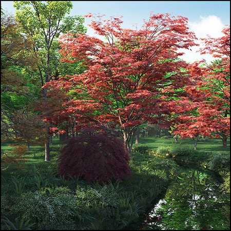 6种69款森林四季不同高度的树植物素材之家精选3D模型