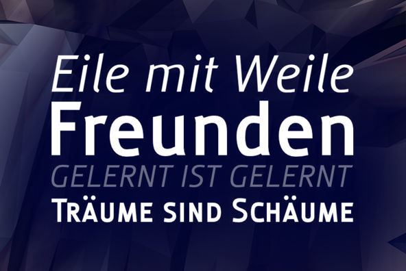 Globale Font Family插图1