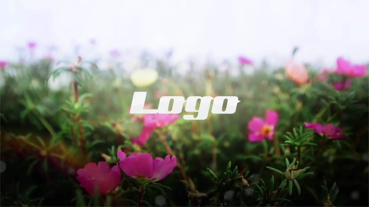 PR流畅的广告过渡效果模板Flowers Opener